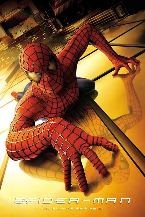 Affiche du film Spiderman 2002